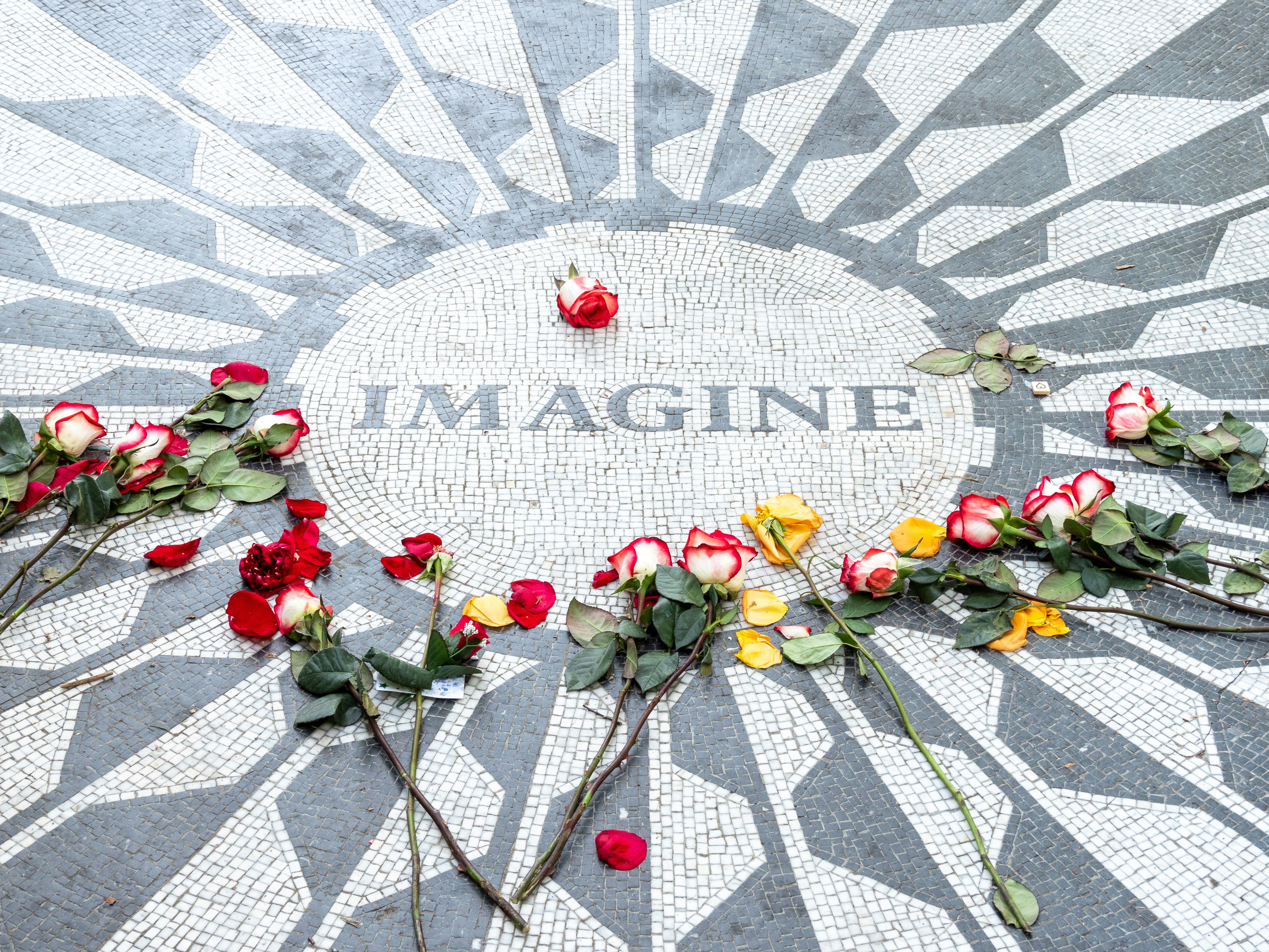 red roses on white and gray heart shaped concrete